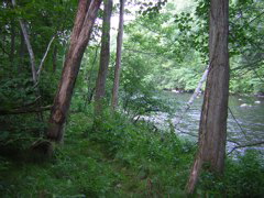 DSCN0325.JPG