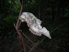 DSCN0327.JPG