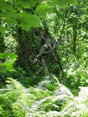 DSCN0334.JPG