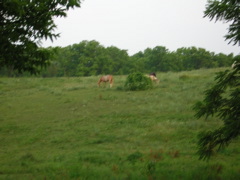 DSCN0294.JPG