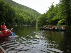 DSCN0338.JPG