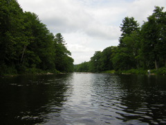 DSCN0339.JPG