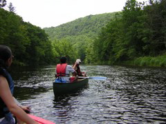 DSCN0341.JPG