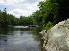 DSCN0342.JPG