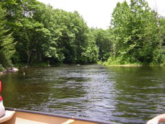 DSCN0343.JPG