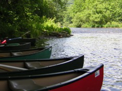DSCN0346.JPG