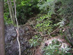 DSCN0428.JPG
