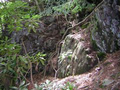 DSCN0429.JPG