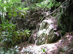DSCN0430.JPG