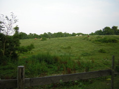 DSCN0295.JPG
