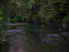 DSCN0297.JPG