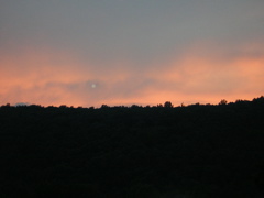 DSCN0313.JPG