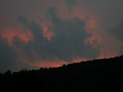 DSCN0317.JPG