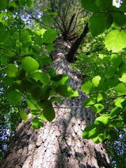 DSCN0318.JPG
