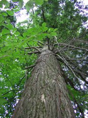 DSCN0320.JPG